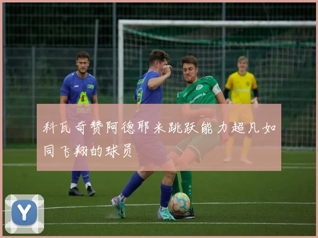 科瓦奇赞阿德耶米跳跃能力超凡如同飞翔的球员