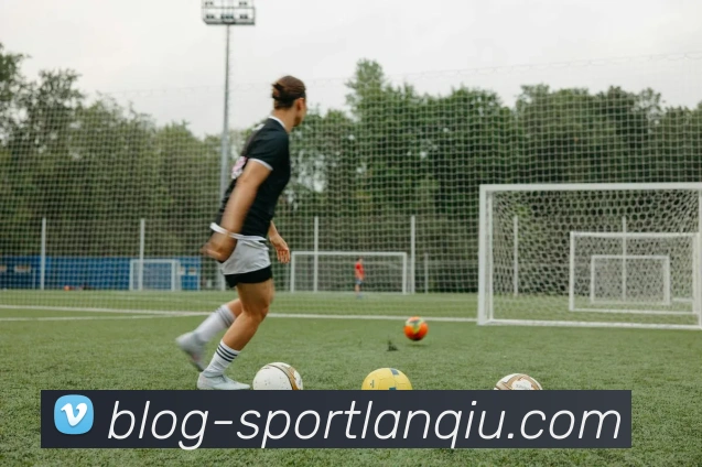 篮球赌注品牌故事