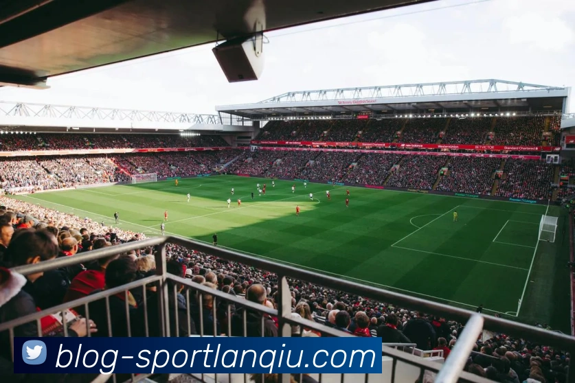 篮球赌注服务体系